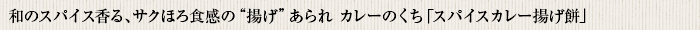 和のスパイス香る、サクほろ食感の“揚げ”あられカレーのくち「スパイスカレー揚げ餅」